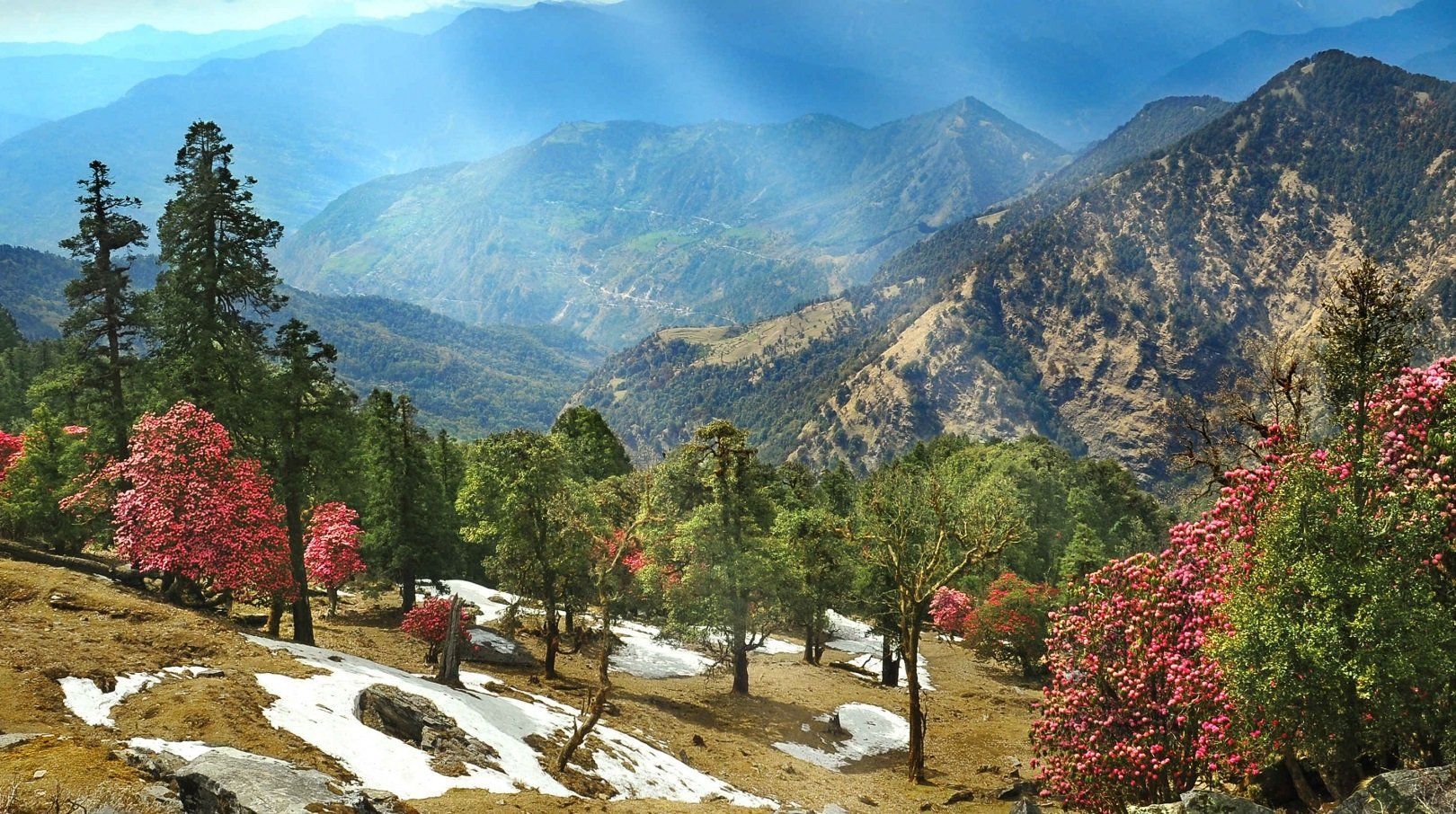 Adi kailash, Om Parvat, Munsiyari Tour