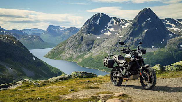 Bike Rental